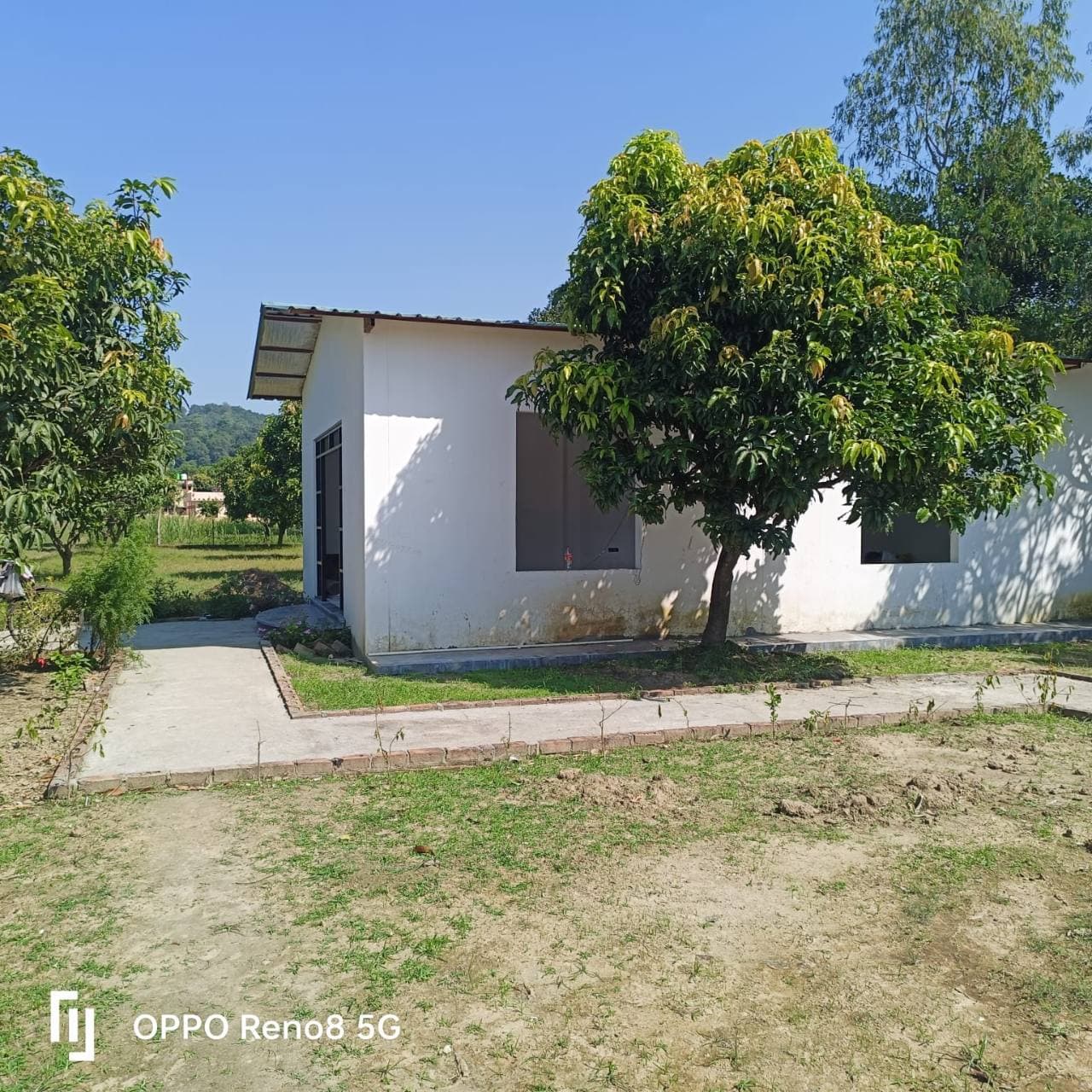 A white cottage among trees with a path leading to the entrance.