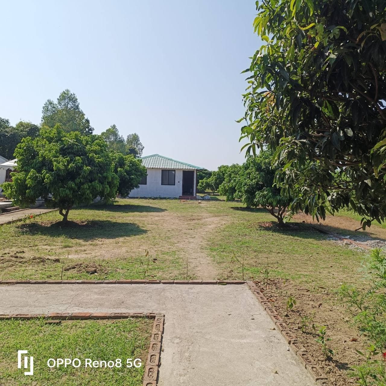 A cottage exterior with a path and surrounding greenery.