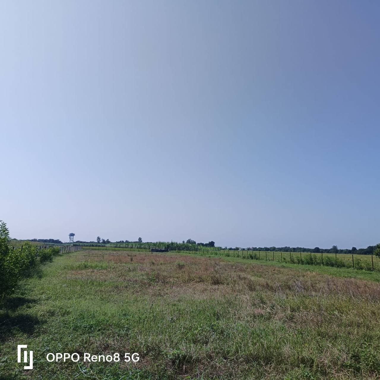 Open farmland near Kaniya with green fields and a wide sky.